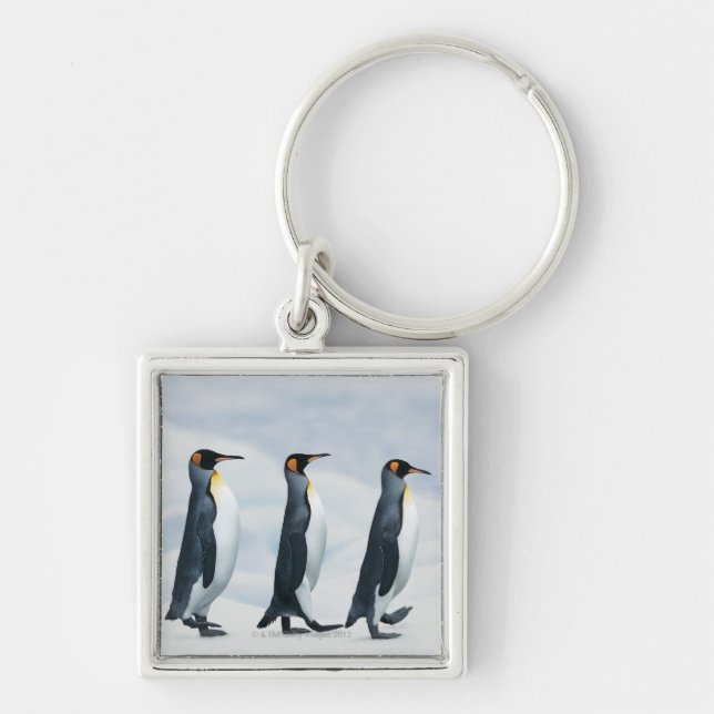 King Penguins Keychain (Front)
