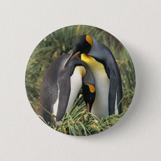 King penguins Lovers 2 Inch Round Button (Front)