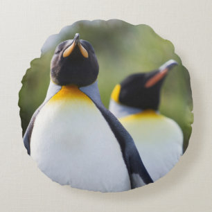 King penguins round pillow