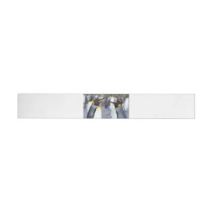 King Penguins Wrap Around Label