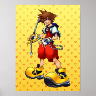 Kingdom Hearts   Sora Character Illustration Poster