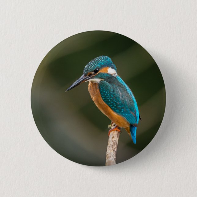 Kingfisher 2 Inch Round Button (Front)