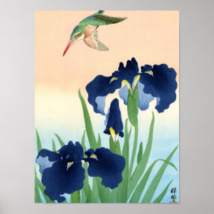 Kingfisher above Irises, 1926 by Ohara Koson Poster