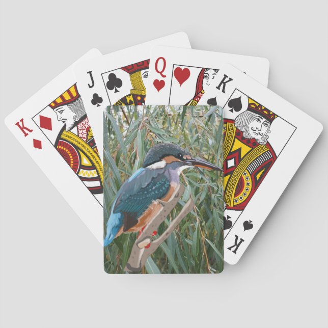 Kingfisher and Willow  Playing Cards (Back)