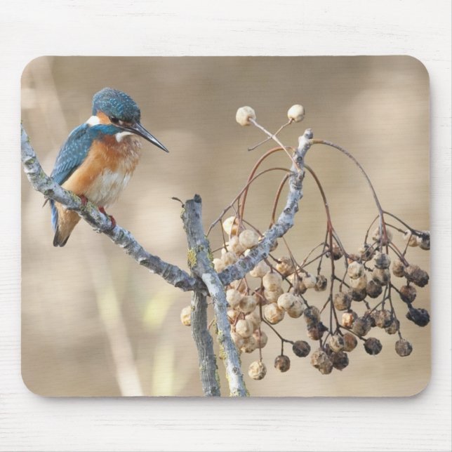 Kingfisher at Hula Reserve Mouse Pad (Front)