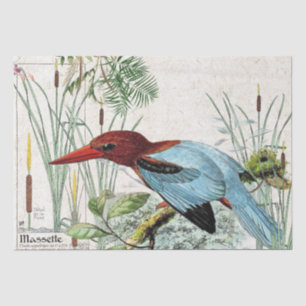 Kingfisher Bird Cattail Pond Wildlife Tissue Paper