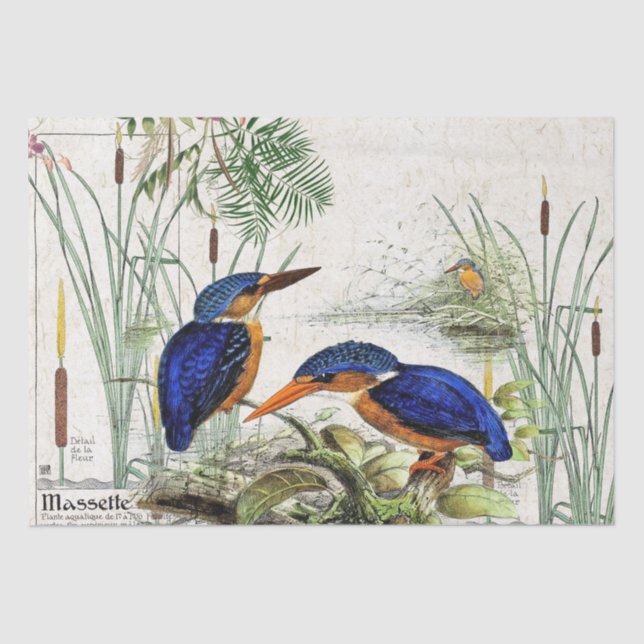 Kingfisher Bird Cattail Pond Wildlife Tissue Paper (Front)