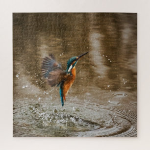 Kingfisher Bird Coming out of Water Photo Jigsaw Puzzle