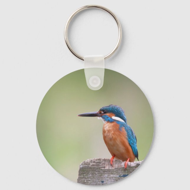 Kingfisher bird. keychain (Front)