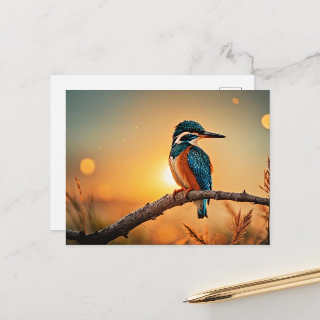 Kingfisher bird postcard (Front/Back In Situ)