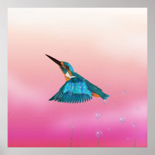 kingfisher Bird Poster