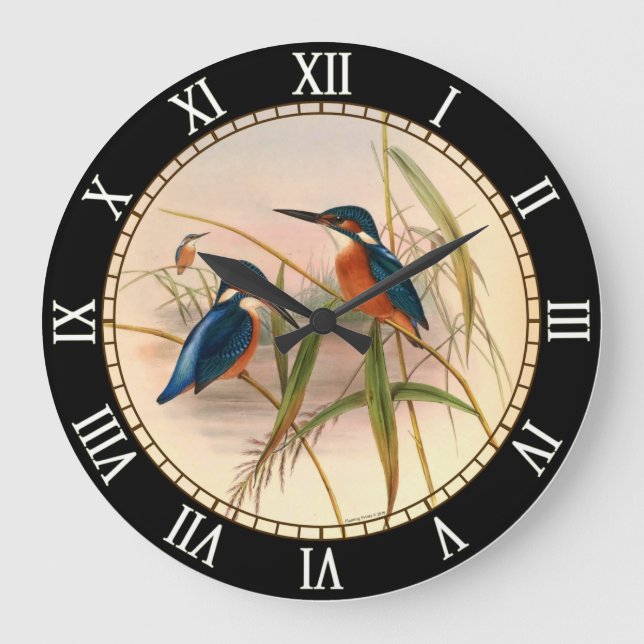 Kingfisher, birds, vintage, John Gould, nature Large Clock (Front)