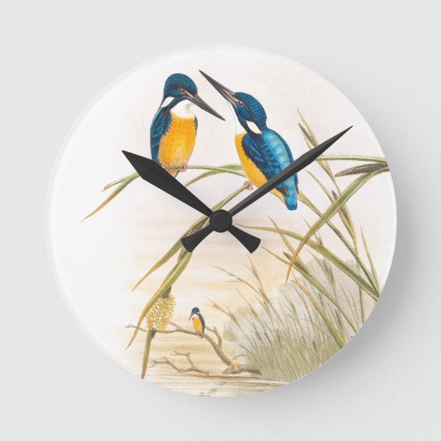 Kingfisher Birds Wildlife Animals Pond Round Clock (Front)