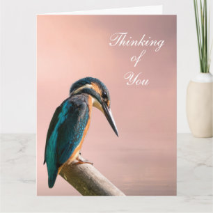 Kingfisher  card