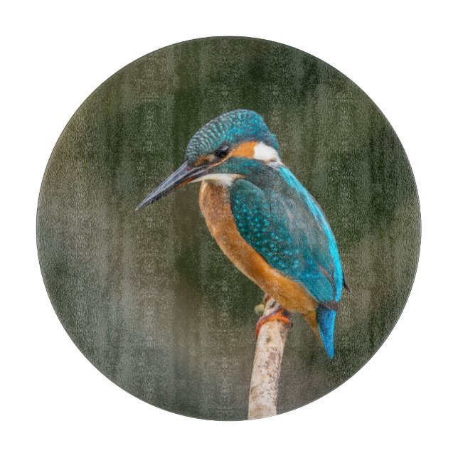 Kingfisher Cutting Board (Front)