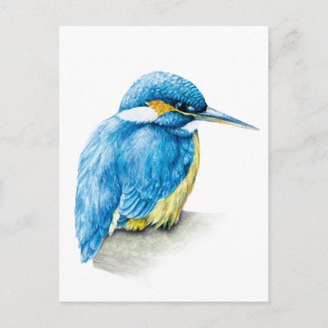 Kingfisher fine art watercolor postcard (Front)