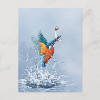 Kingfisher flying out of the water postcard
