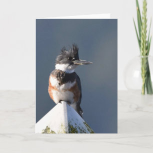 Kingfisher - Frameable Art Card