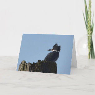 Kingfisher - Frameable Art Card