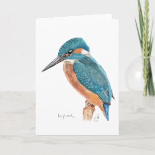 Kingfisher Greeting Card