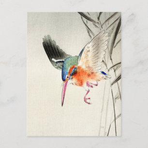 Kingfisher Hunting (enlarged ) - Ohara Koson - Postcard