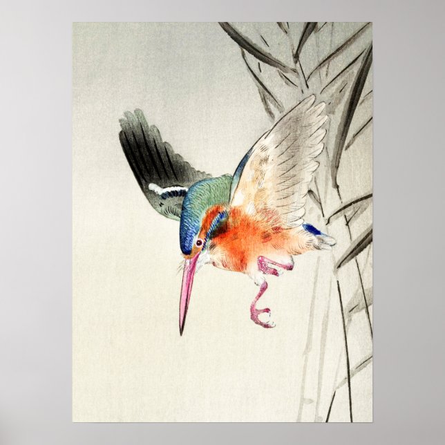 Kingfisher Hunting (enlarged ) - Ohara Koson - Poster (Front)