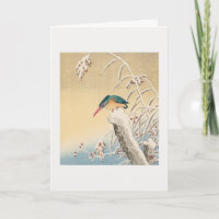 Kingfisher in the snow