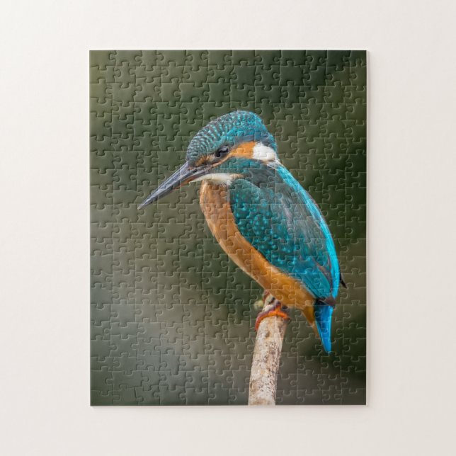 KIngfisher Jigsaw Puzzle (Vertical)