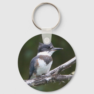 kingfisher keychain