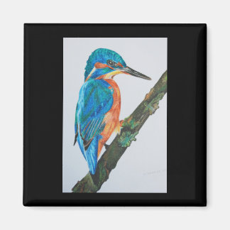 Kingfisher Magnet