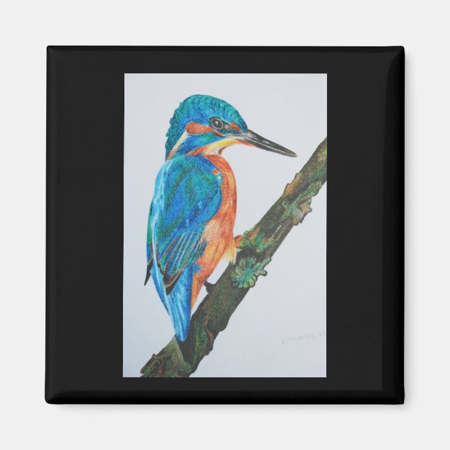 Kingfisher Magnet (Devant)