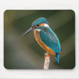 KIngfisher Mouse Pad