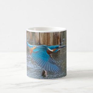 Kingfisher Mug