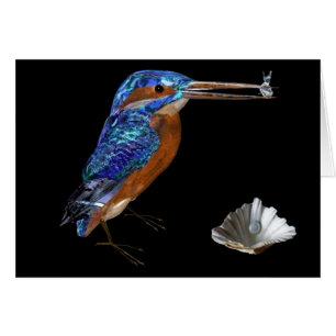 KINGFISHER, noir
