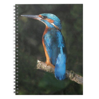 Kingfisher Notebook