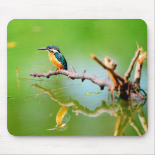 Kingfisher on a Dead Branch at the Lake Mouse Pad
