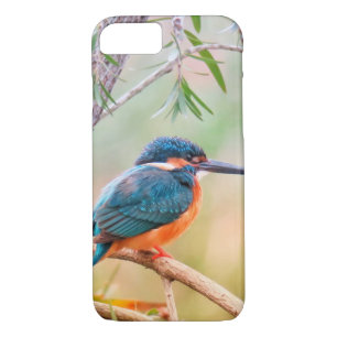 Kingfisher Perched on Branch Case-Mate iPhone Case