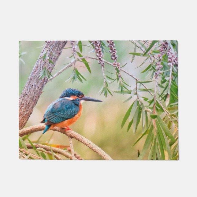 Kingfisher Perched on Branch Doormat (Front)