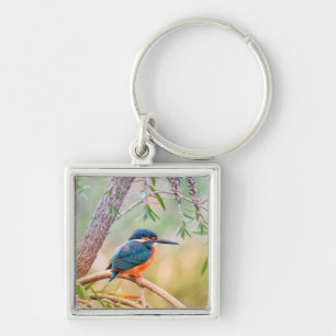 Kingfisher Perched on Branch Keychain