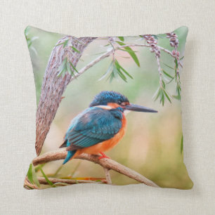 Kingfisher Perched on Branch Throw Pillow