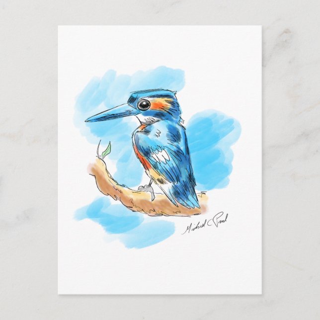 Kingfisher Postcard (Front)