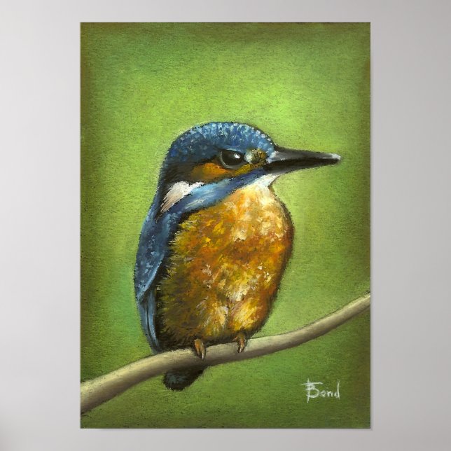 Kingfisher Poster (Front)