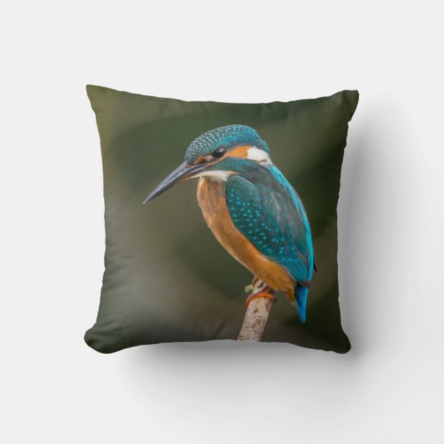 Kingfisher Throw Pillow (Front)