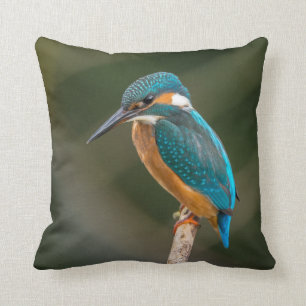 Kingfisher Throw Pillow