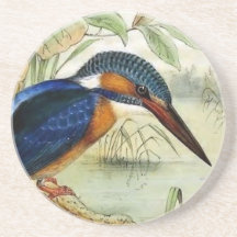 Kingfisher Vintage Bird Illustration
