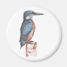 Kingfisher Watercolor