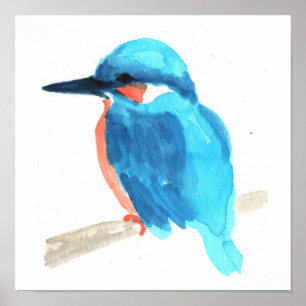Kingfisher watercolor painting square poster