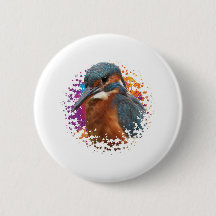 Kingfisher with colorful background