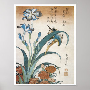 Kingfisher with Irises, Hokusai, 1834 Poster