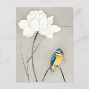 Kingfisher with Lotus Flower Ohara Koson enlarged  Postcard